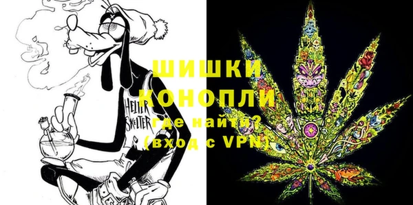 PSILOCYBIN Горно-Алтайск